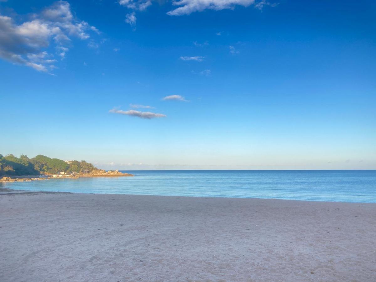 Les Lodges De La Plage U Dragulinu Sari-Solenzara Exteriér fotografie